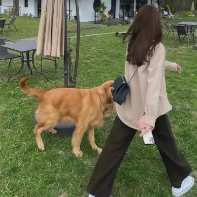 秋月