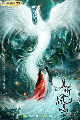 放映路上 封面图