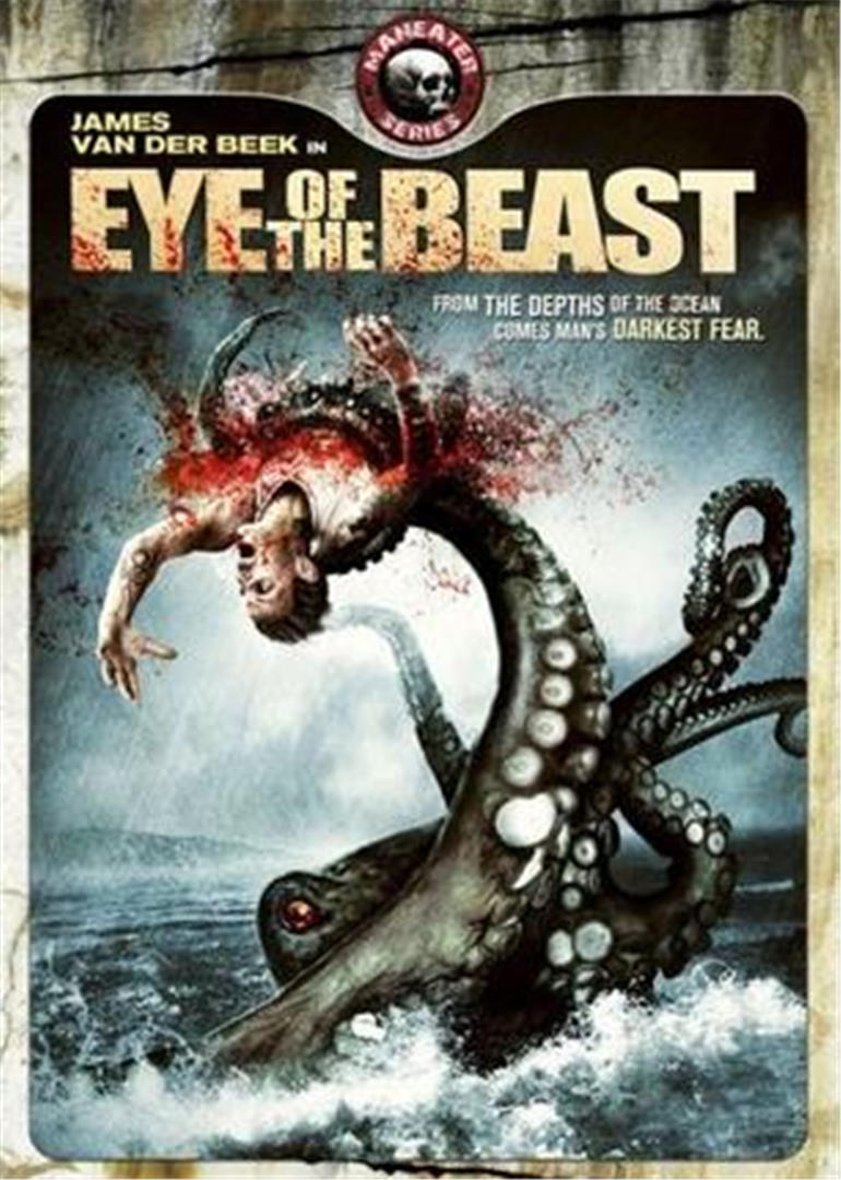 故园风雨后 封面图